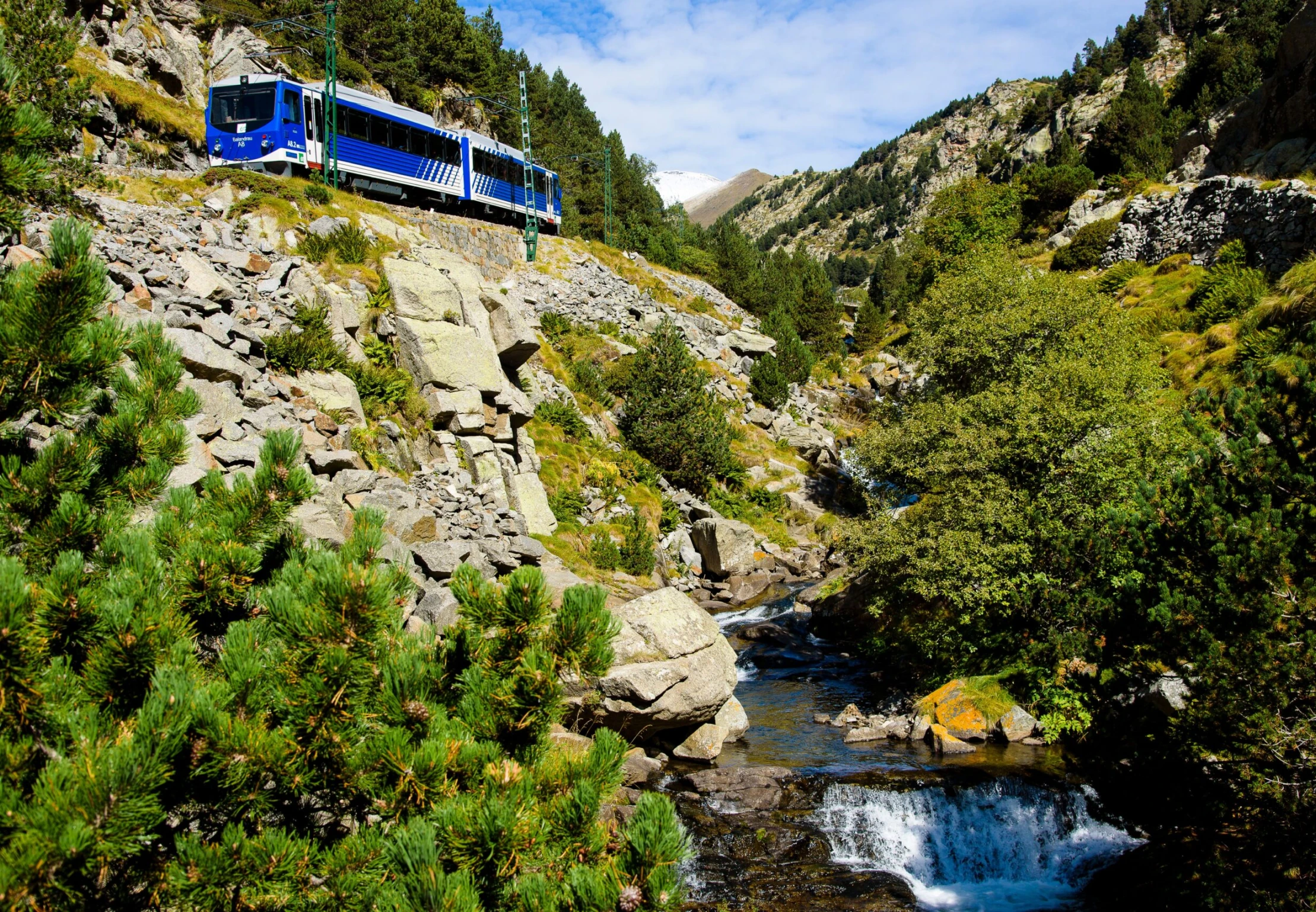 Cami-Vell-1-1-scaled-2